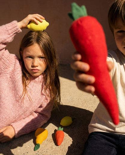 Spicy Fruits fabric toy (4 units)