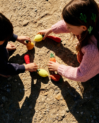 Spicy Fruits fabric toy (4 units)